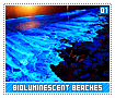 bioluminescentbeaches01