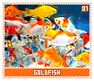 goldfish01