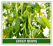 greenbeans01